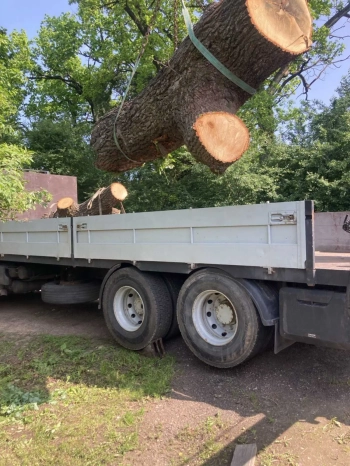 Манипулятор в Минске — услуги грузоперевозки и монтаж