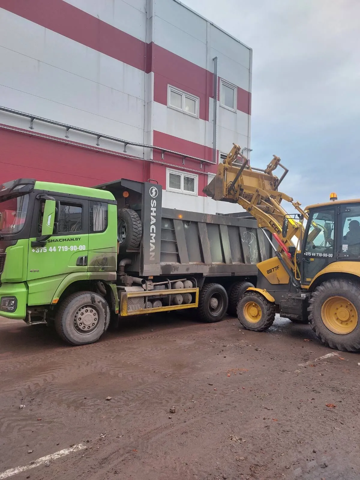 Аренда самосвала Осиповичи. 2