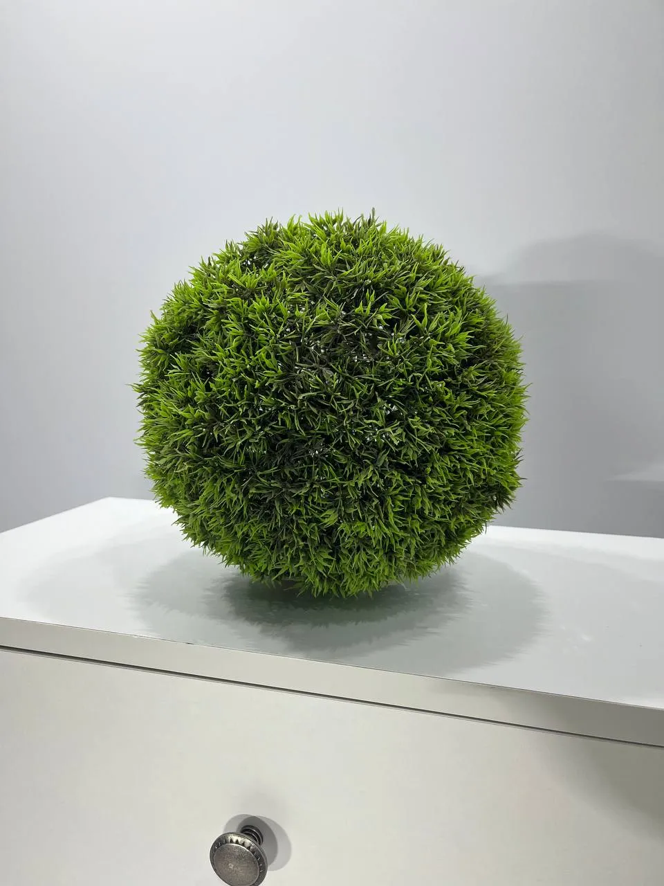 Аренда декоративных шаров и искусственных растений в Минске. 1