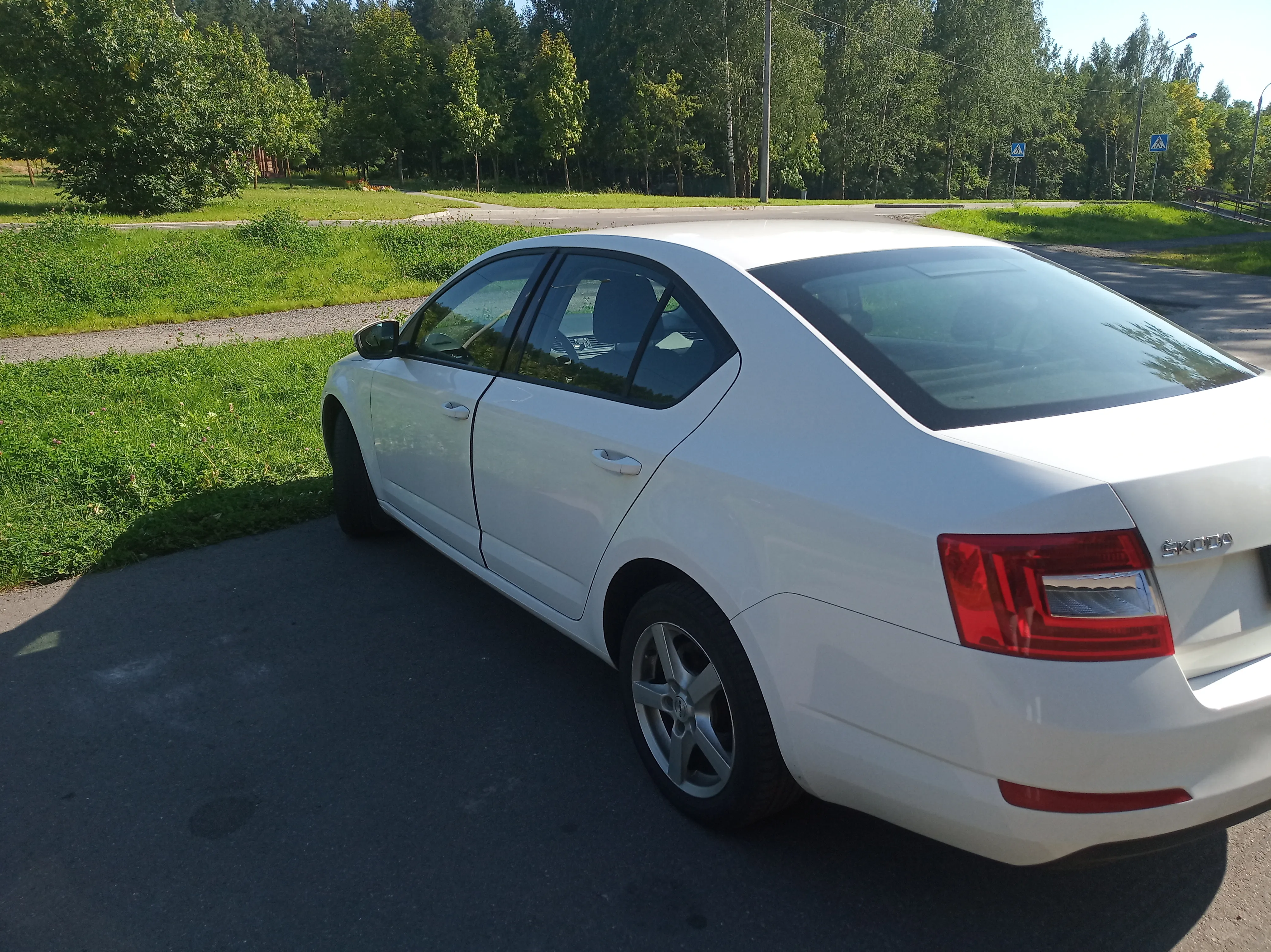 Аренда Шкоды в Минске. Недорого. 3