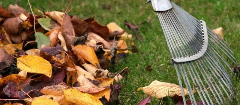 Уборка территории в Минске. 1