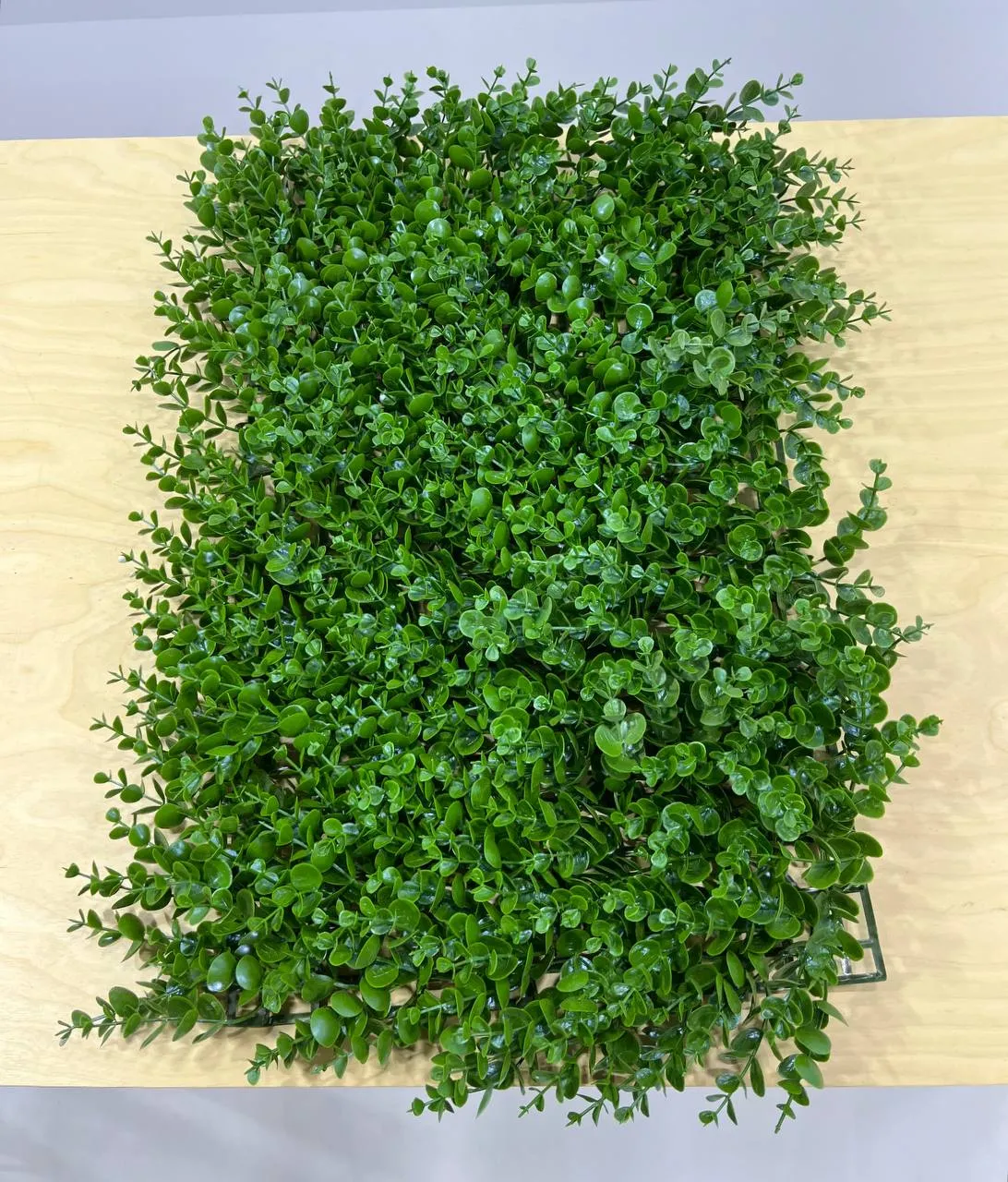 Аренда искусственных растений и выставочного оборудования в Минске. 1