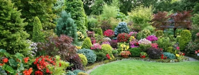 Уход за кустарниками в Минске. 1