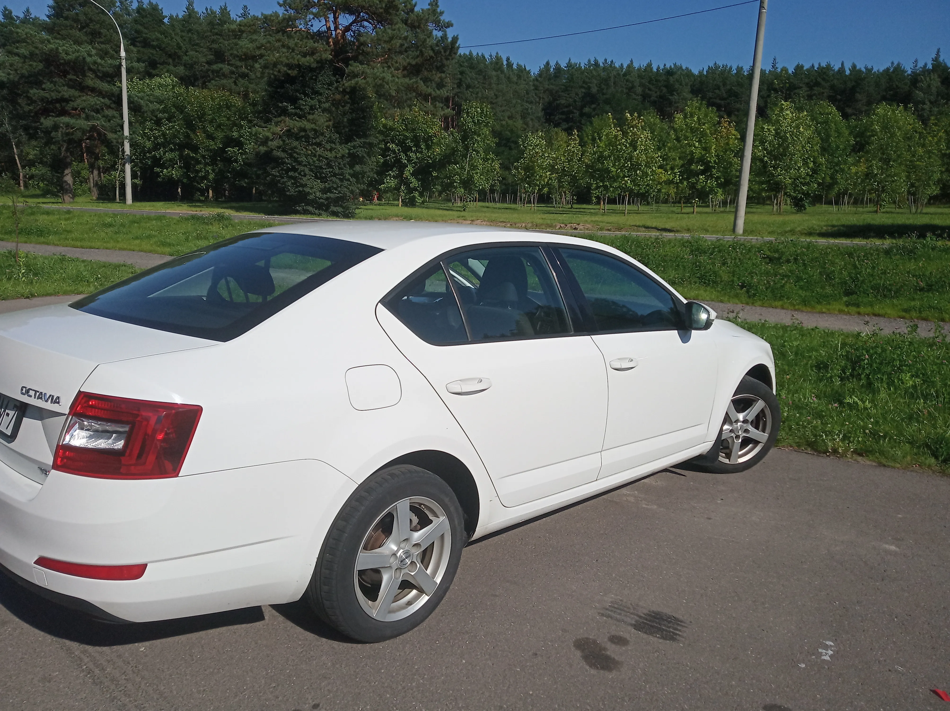 Аренда Шкоды в Минске. Недорого. 2