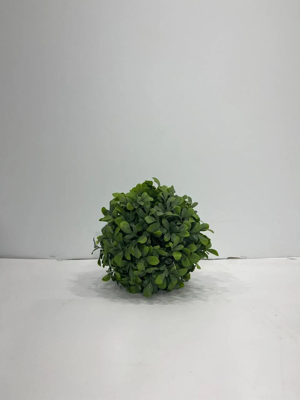 Аренда декоративных шаров и растений для выставок в Минске. 1