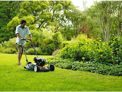 Аренда бензиновой газонокосилки — быстро и удобно. 1