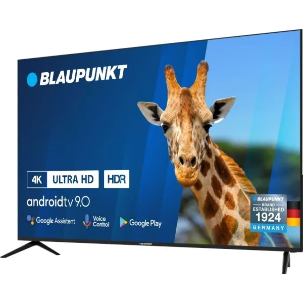 Аренда телевизора Blaupunkt 65" в Минске — прокат с доставкой. 1